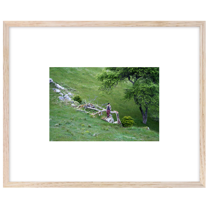 Jun Matsumoto -Nature- Limited Edition
