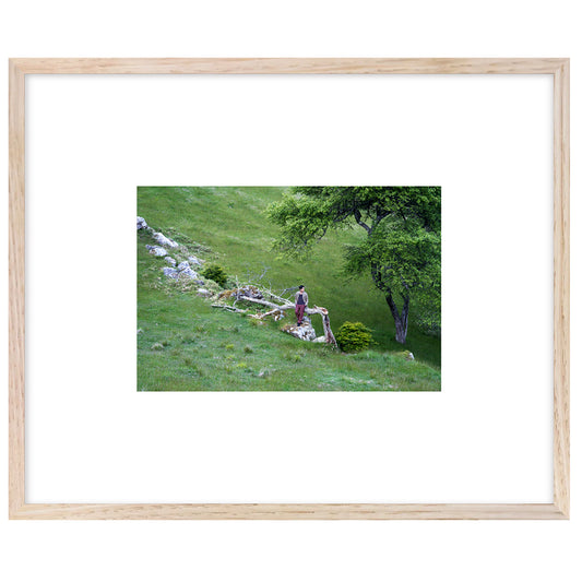 Jun Matsumoto -Nature- Limited Edition